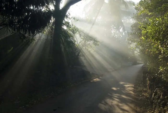 Framed Print : Sunbeams through tree on road at Anjarle village