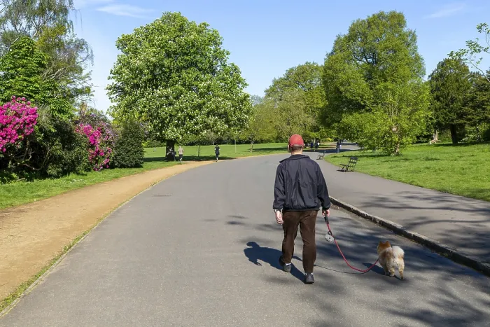 Framed Print : Sunday morning man walking dog Framed Print : Sunday morning man walking dog