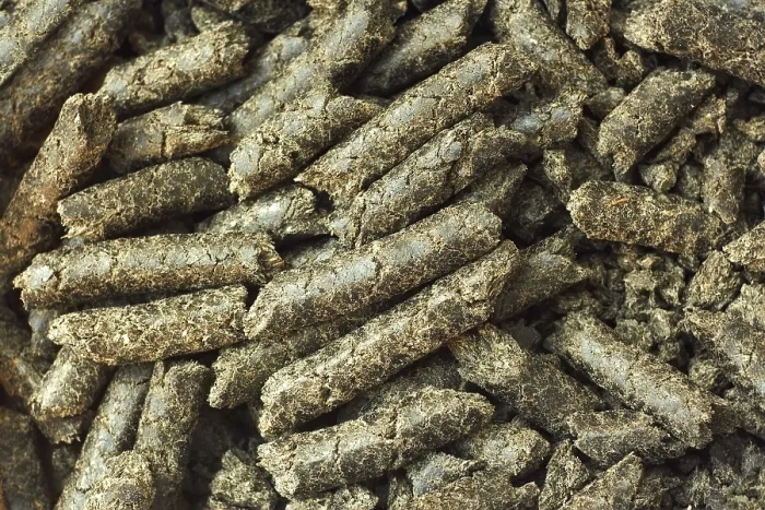 Framed Print : Sunflower seed husk in granules