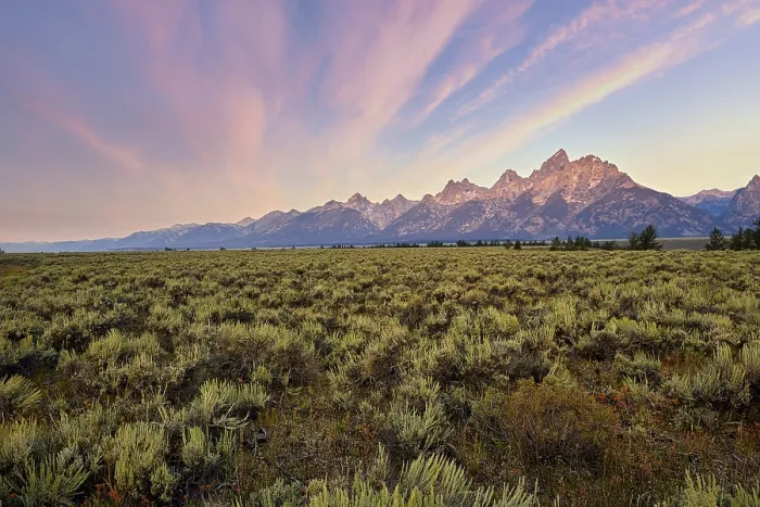 Framed Print : Sunrise at the Grand Teton National Park Framed Print : Sunrise at the Grand Teton National Park