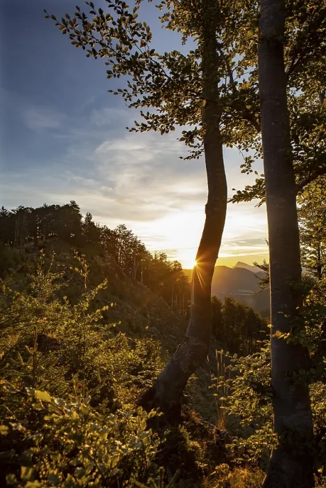 Framed Print : Sunrise on the Gurlspitze, Ebenau