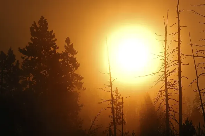 Framed Print : Sunrise and morning fog, Yellowstone National Park Framed Print : Sunrise and morning fog, Yellowstone National Park