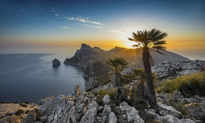 Framed Print : Sunrise, palm in front of Cap Formentor