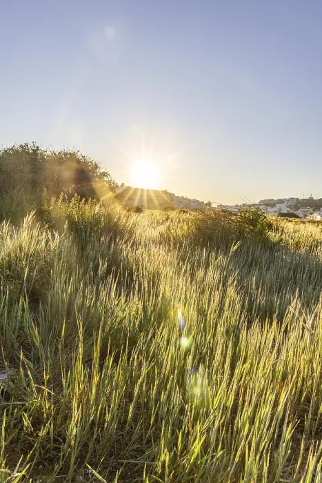 Framed Print : Sunrise with a view of a meadow