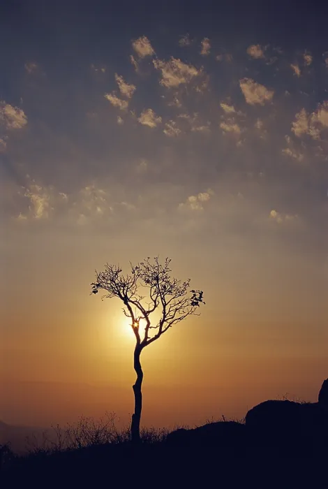 Framed Print : Sunset at Bhimashankar, Maharashtra, India, Asia