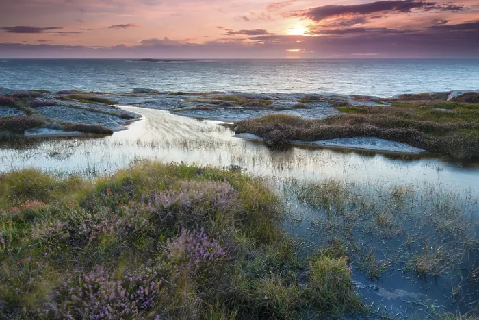 Framed Print : Sunset, evening atmosphere at the coastline near Smoegen Framed Print : Sunset, evening atmosphere at the coastline near Smoegen