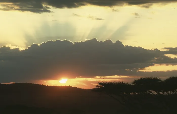 Framed Print : Sunset over Serengeti, Tanzania