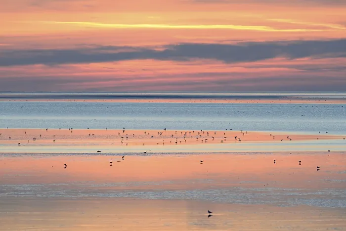 Framed Print : Sunset over the Wadden Sea at low tide Framed Print : Sunset over the Wadden Sea at low tide