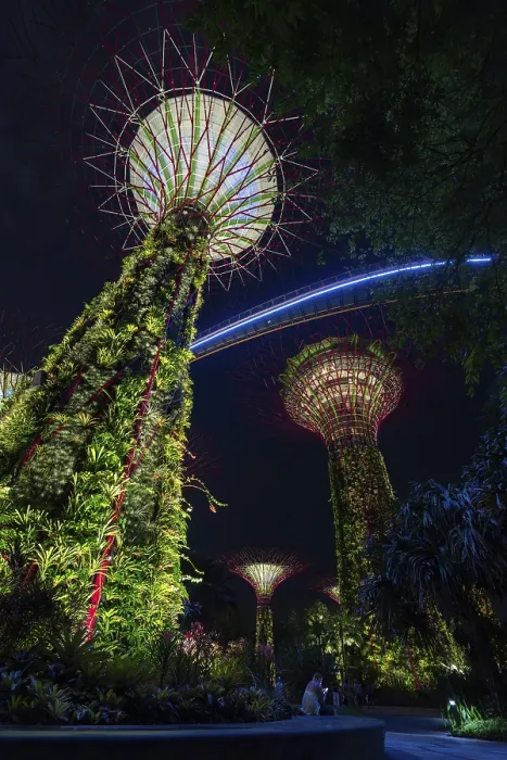 Framed Print : Supertree Grove, illuminated Supertrees towering over Gardens by the Bay Framed Print : Supertree Grove, illuminated Supertrees towering over Gardens by the Bay