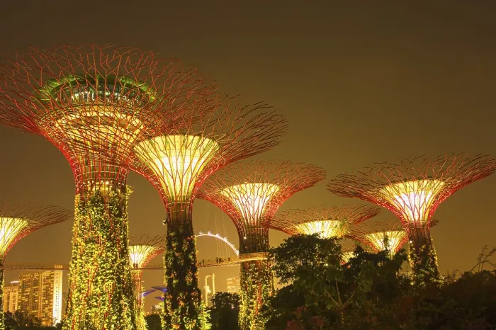 Framed Print : Supertrees, Gardens by the Bay