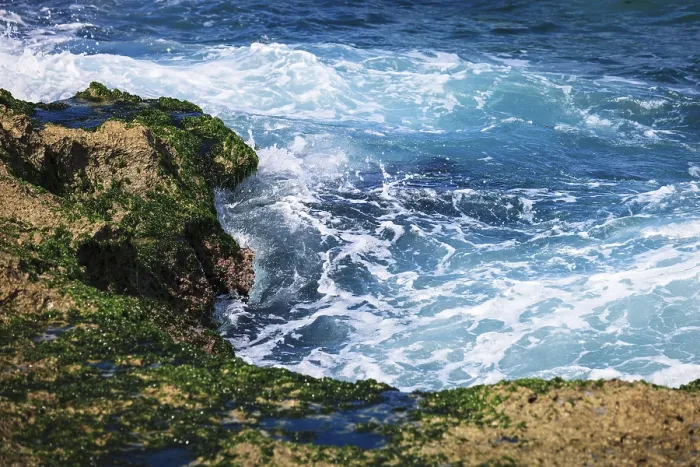 Framed Print : Surf on the coral reefs in the sunny day