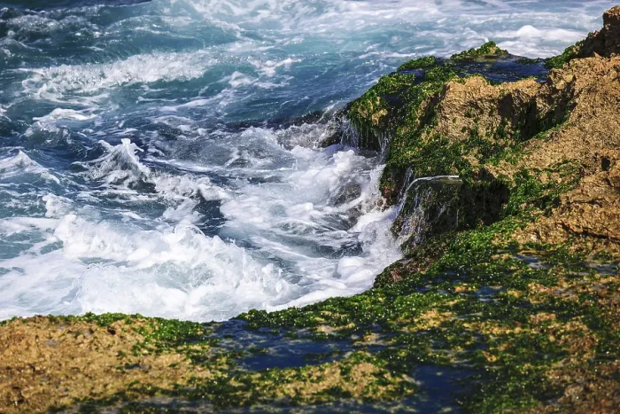 Framed Print : Surf on the coral reefs in the sunny day
