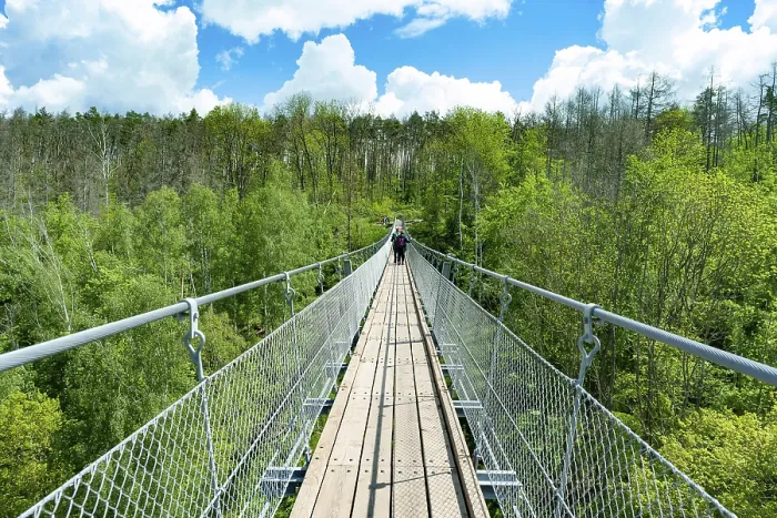Framed Print : Suspension rope bridge over the Baerental