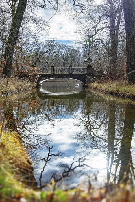 Framed Print : Swans and ducks swimming at the water of the brook under the old bridge Framed Print : Swans and ducks swimming at the water of the brook under the old bridge