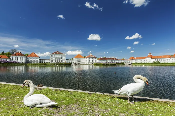 Framed Print : Swans in garden in front of the Nymphenburg Palace