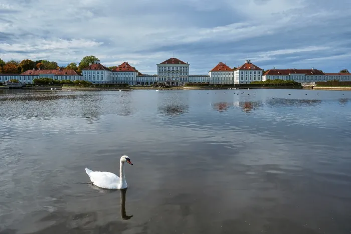 Framed Print : Swans in pond in front of the Nymphenburg Palace