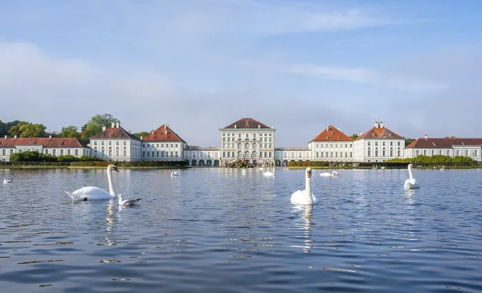 Framed Print : Swans swimming in front of Nymphenburg Palace