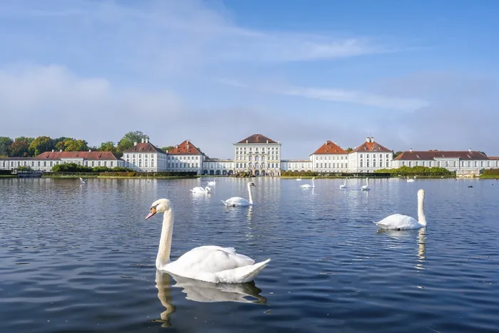 Framed Print : Swans swimming in front of Nymphenburg Palace Framed Print : Swans swimming in front of Nymphenburg Palace