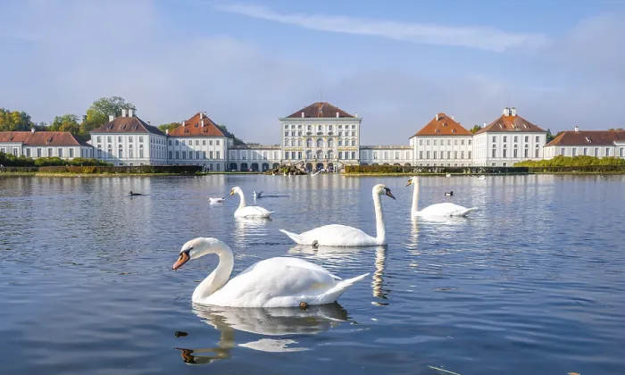 Framed Print : Swans swimming in front of Nymphenburg Palace