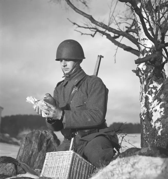 Framed Print : Swedish army during WW2. A soldier is seen holding a pigeon in his hands