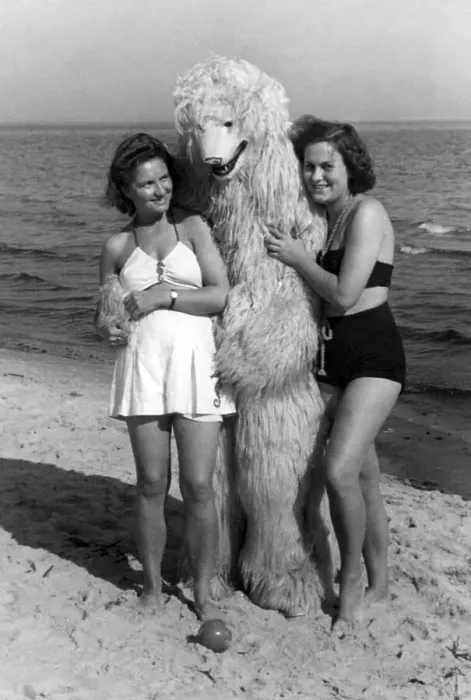 Framed Print : Swimwear, two women posing with polar bear on the beach