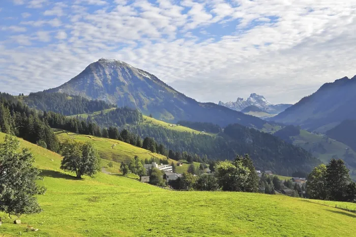 Framed Print : Swiss Alps. Green alpine meadow on a hillside and surrounded by pine forests