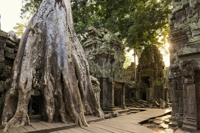 Framed Print : Ta Prohm, Angkor Wat, Angkor, UNESCO World Heritage Site