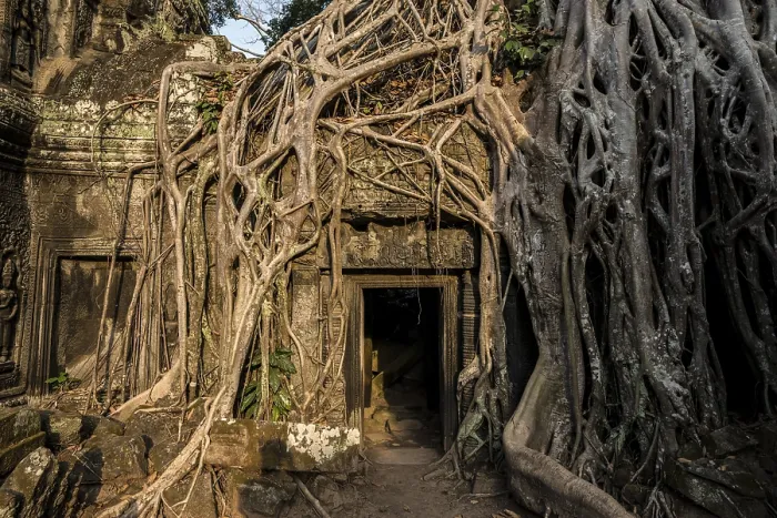 Framed Print : Ta Prohm, Angkor Wat, Angkor, UNESCO World Heritage Site