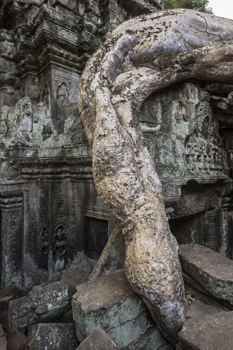 Framed Print : Ta Prohm, Angkor Wat, Angkor, UNESCO World Heritage Site