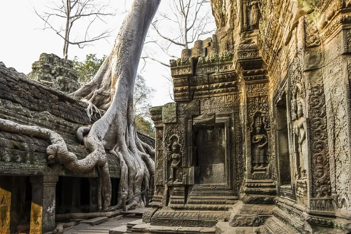 Framed Print : Ta Prohm, Angkor Wat, Angkor, UNESCO World Heritage Site