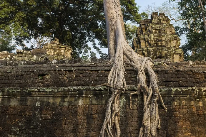 Framed Print : Ta Prohm, Angkor Wat, Angkor, UNESCO World Heritage Site