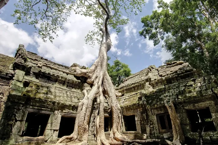 Framed Print : Ta Prohm, Angkor Wat complex, Siem Reap Framed Print : Ta Prohm, Angkor Wat complex, Siem Reap