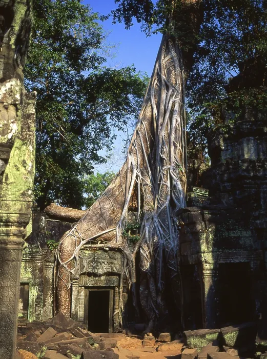 Framed Print : Ta Prohm was built in the Bayon style largely in the late 12th and early 13th centuries