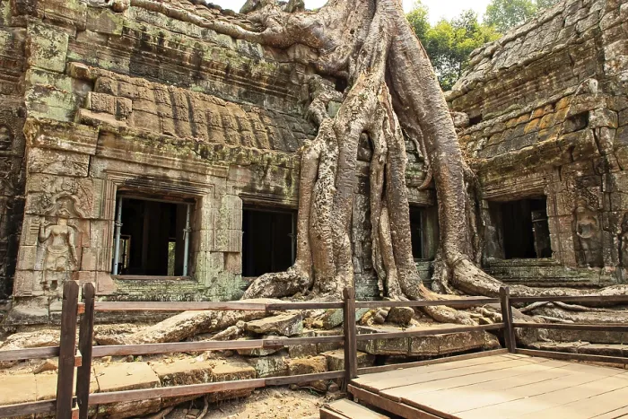 Framed Print : Ta Prohm temple complex near Angkor Wat in Cambodia
