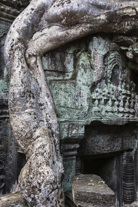Framed Print : Ta Prohm temple with giant banyan tree Framed Print : Ta Prohm temple with giant banyan tree