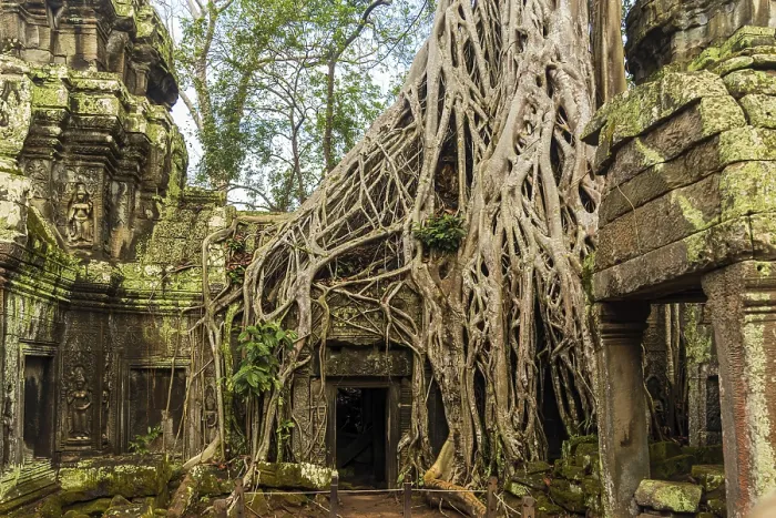 Framed Print : Ta Prohm temple ruins, Angkor, Cambodia, Asia Framed Print : Ta Prohm temple ruins, Angkor, Cambodia, Asia