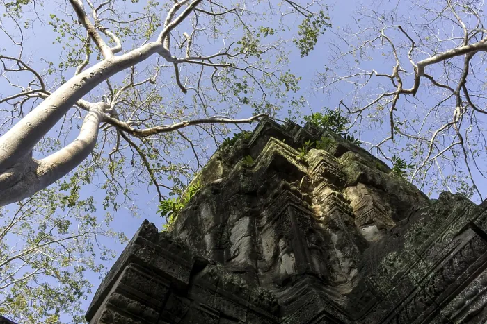 Framed Print : Ta Prohm temple and ruins in Siem Reap Framed Print : Ta Prohm temple and ruins in Siem Reap