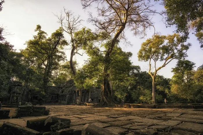 Framed Print : Ta Prohm temple and ruins in Siem Reap