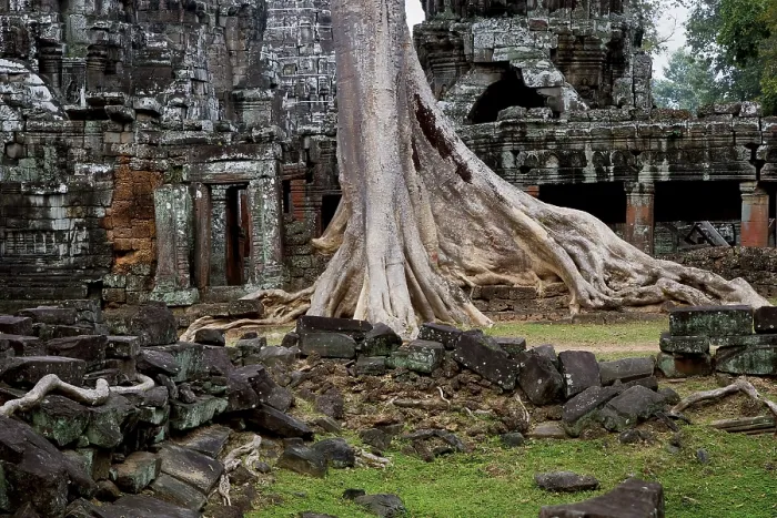Framed Print : Ta Prohm temple scenic ruins in Angkor Wat complex
