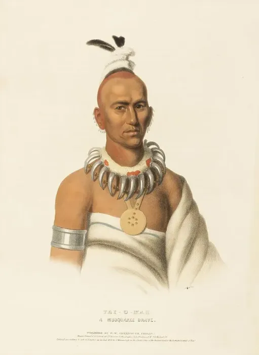 Framed Print : Tai-O-Mah. A Musquakee Brave (1838) Framed Print : Tai-O-Mah. A Musquakee Brave (1838)