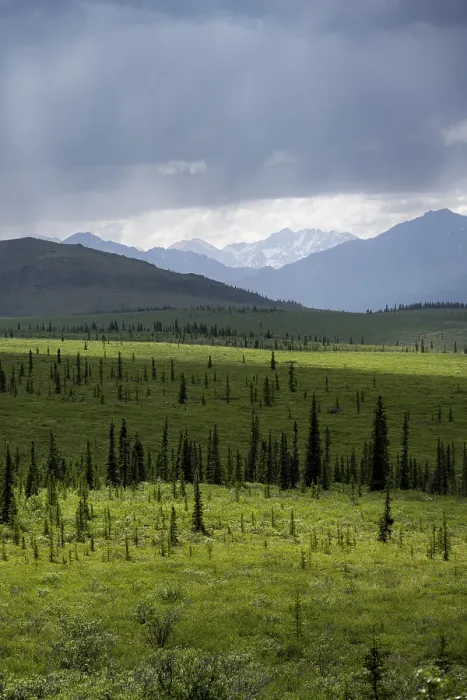 Framed Print : Taiga and tundra, mountain landscape of the Alaska Range with dramatic cloudy sky Framed Print : Taiga and tundra, mountain landscape of the Alaska Range with dramatic cloudy sky
