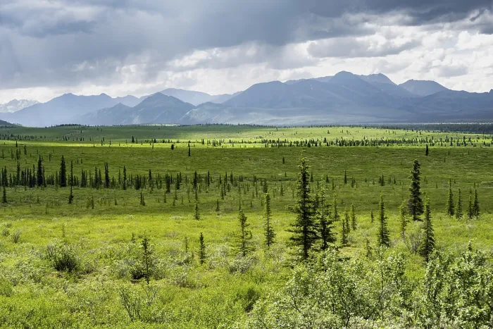 Framed Print : Taiga and tundra, mountain landscape of the Alaska Range with dramatic cloudy sky