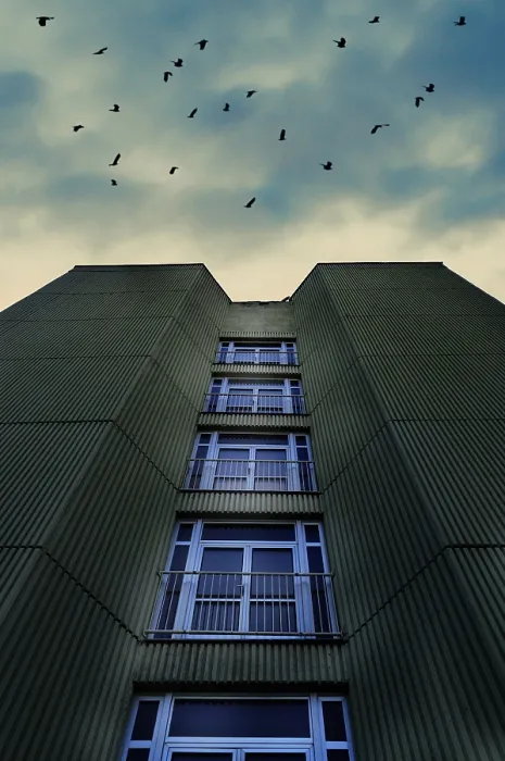 Framed Print : A tall building with birds flying against a cloudy