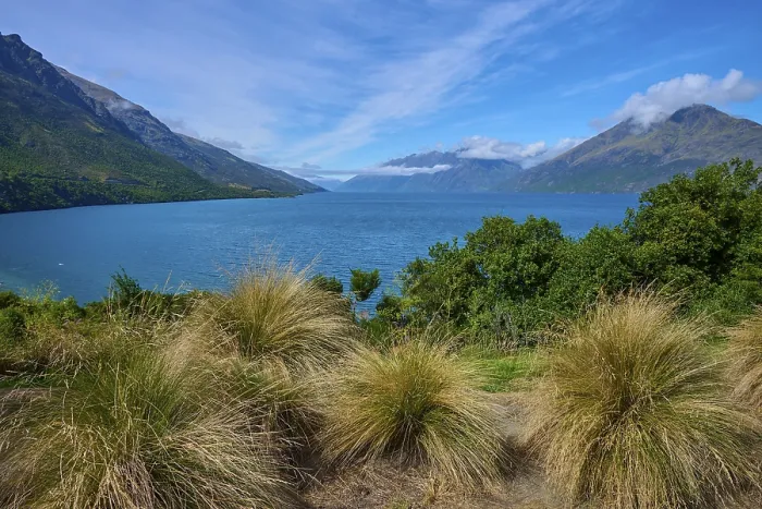 Framed Print : Tall grasses in the foreground with a view of a lake and surrounding mountains Framed Print : Tall grasses in the foreground with a view of a lake and surrounding mountains