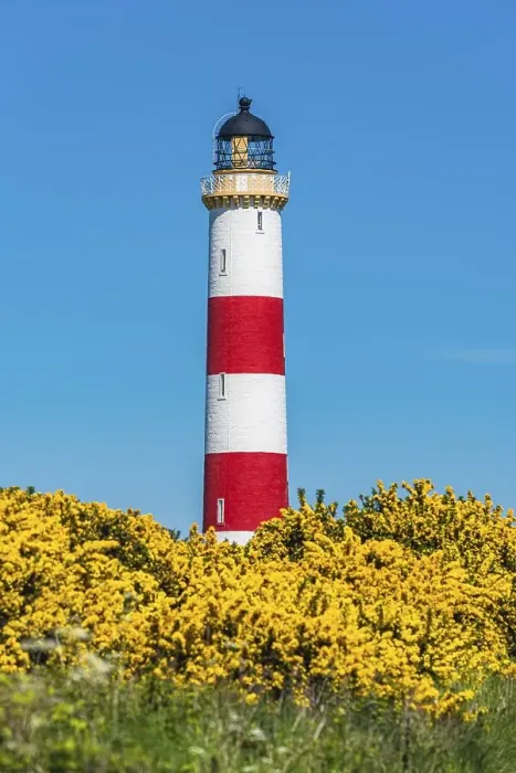 Framed Print : Tarbat Ness Lighthouse, Portmahomack