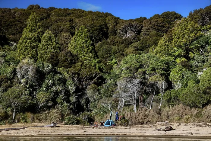 Framed Print : Te Pukatea Bay with a quiet beach and thick forest with blue sky
