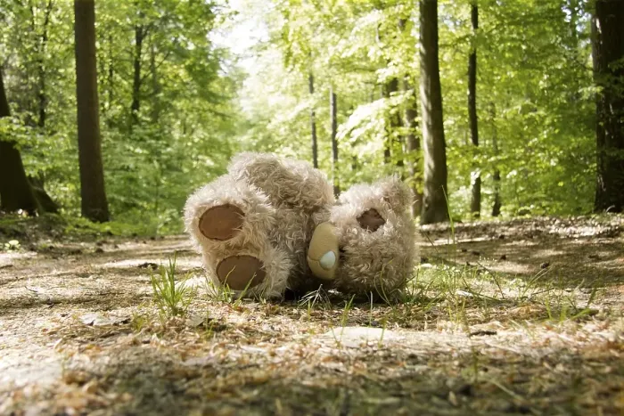 Framed Print : Teddy is left on a forest path