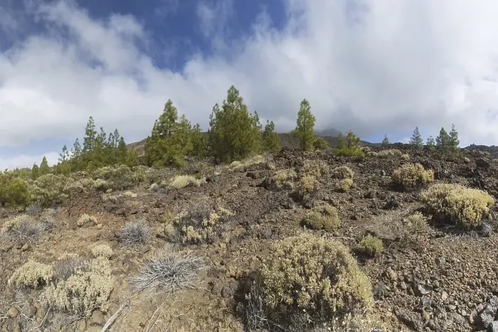 Framed Print : Teide National Park, Tenerife, Canary Islands