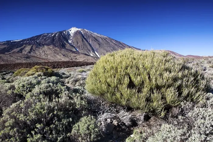 Framed Print : Teide volcano in the Teide National Park