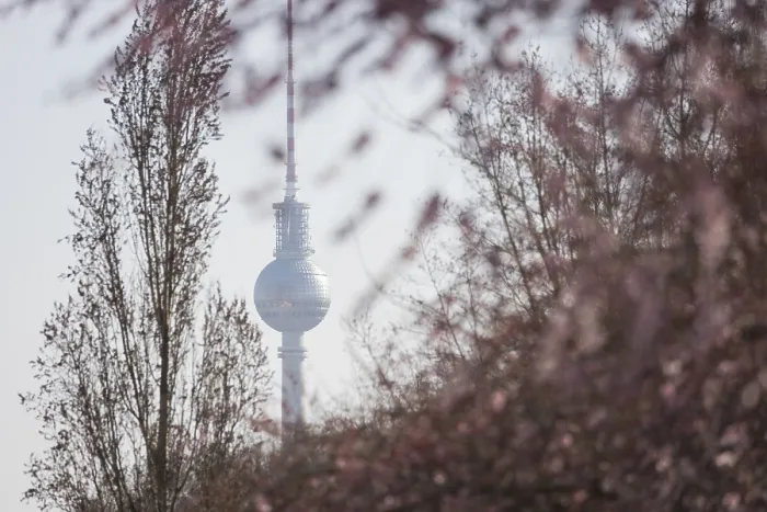 Framed Print : The television tower behind the first blooming cherry blossoms in Berlin Framed Print : The television tower behind the first blooming cherry blossoms in Berlin